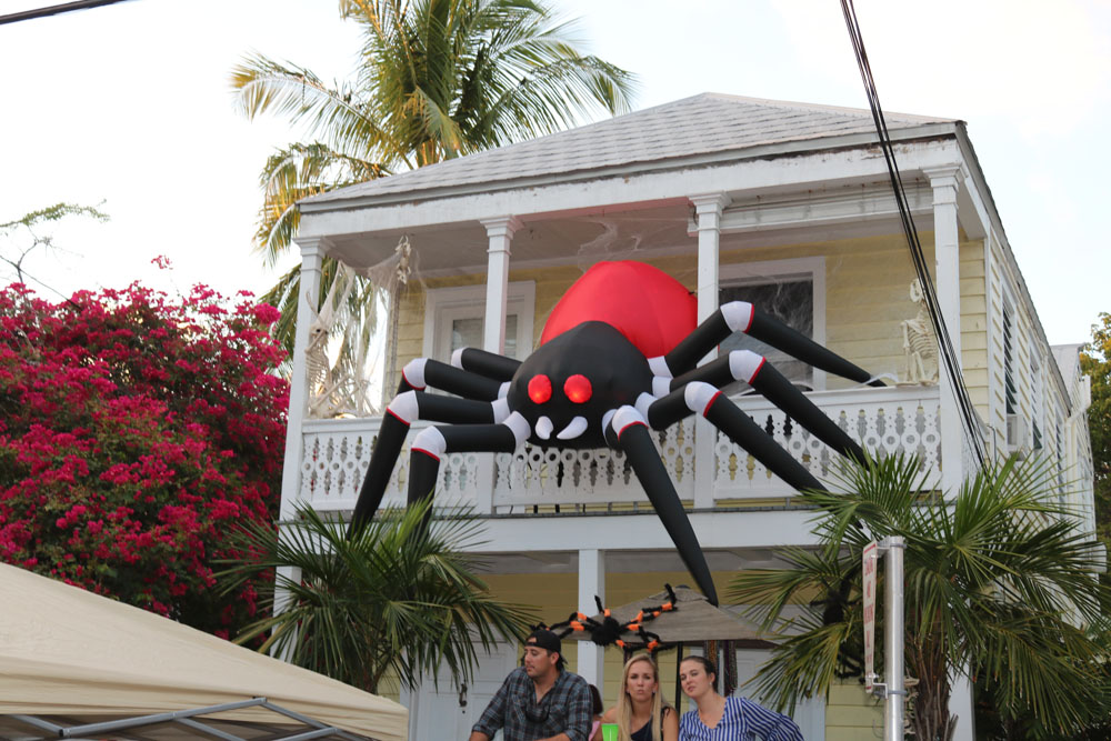 Masquerade March 2018 photo - Duval Street, Key West